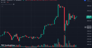 Bitcoin Experiences Volatility: Settles at $29K After Rollercoaster Ride