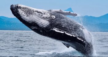 Ethereum Whale Acquires ETH Valued at $166 Million Within Three Days