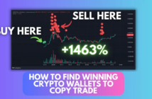 How to Find Winning Crypto Wallets to Copy Trade for Sol Memecoins