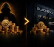 blackrock & satoshi